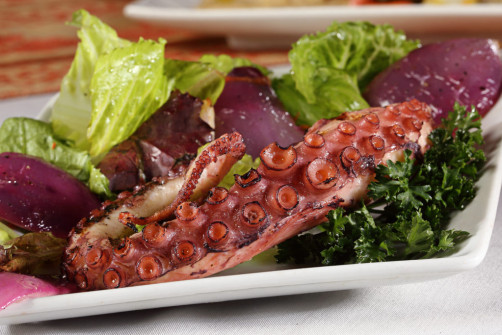 alaturco-2016-01_ws_lr