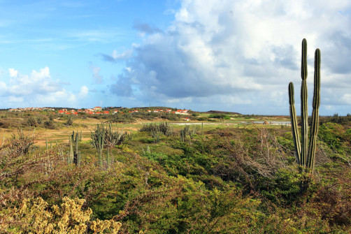 Aruba-25_WS