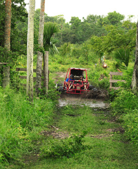 Cozumel-Web-Site-302_WS