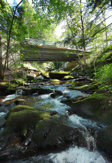 Garfield-Bridge_Final_WS