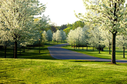 Van-Patten-GC_Spring-78_WS