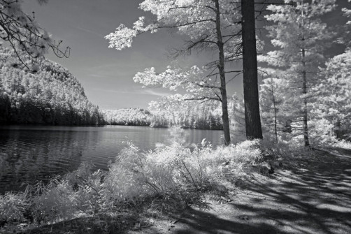 ir-2014_pryamid-life-center-13_ws