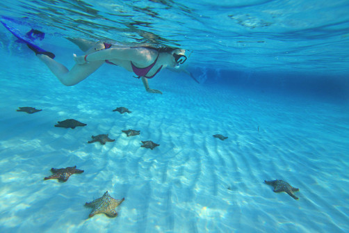 Cozumel_Diving-w-Stars_WS