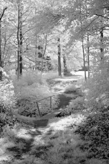 Esti-Path_WS
