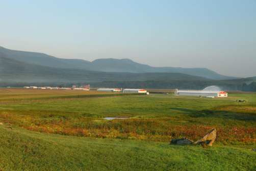 Sunrise-Farms_12_WS